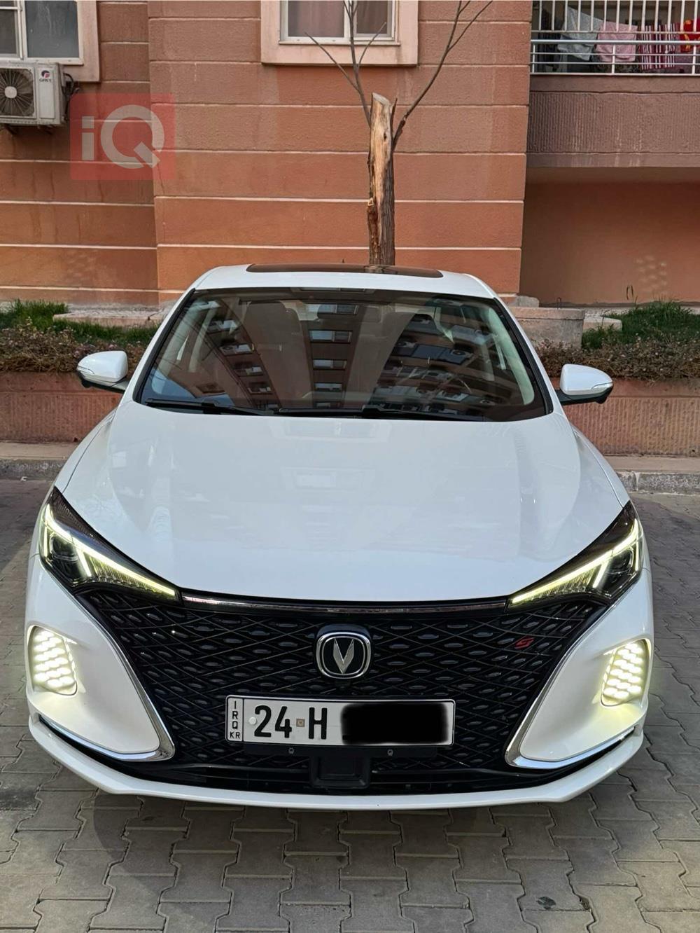 شانجان إيدو